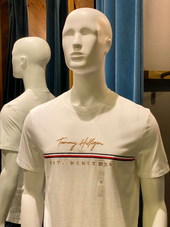 CAMISETA TOMMY ESSENTIALS BORDADO DORADO
