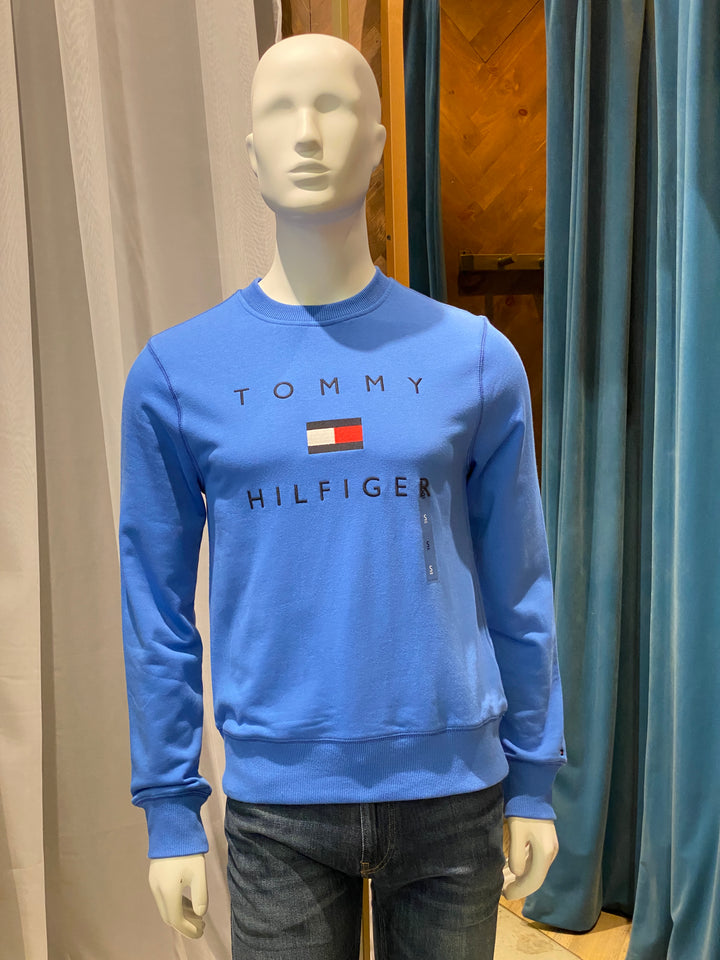 BUZO CLASICO CON LOGO BORDADO  TOMMY HILFIGER